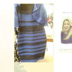 El vestido viral: ¿Por qué lo veías distinto? Color real revelado