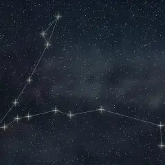 Gwiazdozbiór Ryby na tle nocnego nieba. Linie łączą jasne gwiazdy, tworząc kształt dwóch ryb.