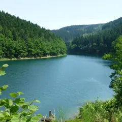 Idyllische Aggertalsperre mit bewaldeten Hängen. Perfekt für eine entspannte Wanderung am Wasser.