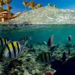 Czy Marsa Alam w Egipcie jest bezpieczne? Oto co musisz wiedzieć