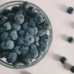 Szklana miska pełna borówek, kilka rozsypanych obok. Czy koty mogą borówki? To pytanie nurtuje wielu właścicieli.