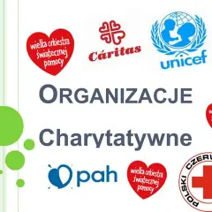 Instytucje charytatywne w Polsce: rola, działalność i wyzwania