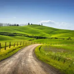 Strada sterrata tra dolci colline verdi in Toscana, un invito a scoprire cosa vedere a Monteroni d'Arbia.