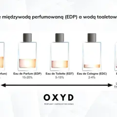Porównanie trwałości perfum: od Parfum (20-30% olejku, do 8h) po Eau Fraiche (1-3% olejku, poniżej 2h).