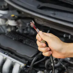 Main d'une personne tenant un câble de voiture rongé. Ce dégât rongeur sur la voiture pourrait être couvert par l'assurance.