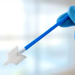 Rękawiczka w niebieskiej rękawiczce trzyma niebieski patyczek z białym, szczoteczkowym zakończeniem. To narzędzie do cytologii, czyli badania komórek.
