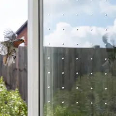 Ein Rotkehlchen fliegt auf ein Fenster zu, das mit Punkten für Vogelschutz versehen ist. Eine einfache Lösung, um Vogelschlag zu vermeiden.