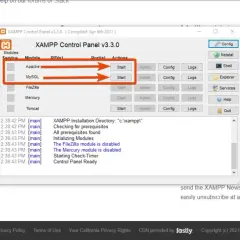 Jak zainstalować WordPress na XAMPP bez problemów - krok po kroku