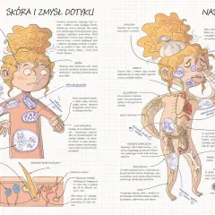 Ilustracja przedstawia ludzką fizjologię, skupiając się na skórze i układzie odpornościowym jako obrońcach organizmu.