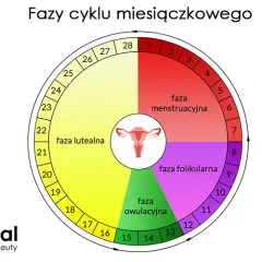 Miesiączka co ile dni? Normy, nieregularności i kiedy do ginekologa