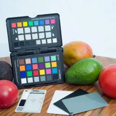 Kolorowa szara karta i owoce: mango, awokado, pomidory. Idealne do kalibracji kolorów.