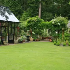 Piękny ogród z szklarnią, altaną i zadbanym trawnikiem. Inspiracja, jak urządzić działkę ROD, by była oazą spokoju.
