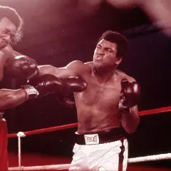 Two boxers in the ring, one landing a punch. The intensity of the fight suggests a close match, perhaps even a unanimous drawing.