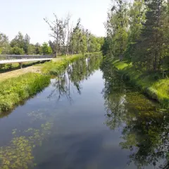 Piękny dzień na odkrywanie tras rowerowych w Bydgoszczy. Mostek nad kanałem, otoczony zielenią, zaprasza do przejażdżki.