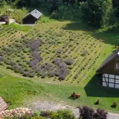 Agroturystyka czy zamknięta? Sprawdź aktualny status i zasady działania