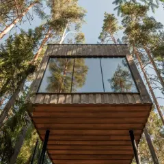 Bo i koja i skogen hotell, en modern träkabin med stora fönster som speglar tallskogen.