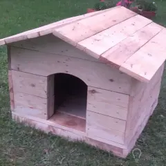 Jak zrobić budę dla psa z palet? Poradnik DIY krok po kroku