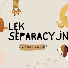 Ilustracja przedstawia psy w różnych sytuacjach, sugerując lęk separacyjny. Widoczny jest wściekły pies, pies przytulający się do człowieka i pies w kształcie koła.