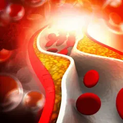 Czy omega 3 obniża cholesterol? Sprawdź, jak wpływa na LDL i HDL