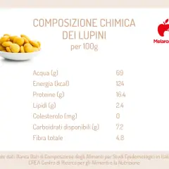 Tavola nutrizionale dei lupini di mare: 100g contengono 124 kcal, 16.4g di proteine e 4.8g di fibra.