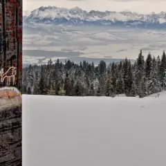 Śnieżny krajobraz z Tatrami w tle. Na pierwszym planie graffiti z reniferami na zardzewiałej powierzchni. Zastanawiasz się, turbacz ile się idzie?
