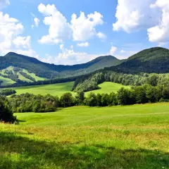 Zielone wzgórza i lasy pod błękitnym niebem z chmurami. Krajobraz jak z bajki, gdzie można odpocząć. Idealne miejsce na spacer, nawet jeśli to tylko **bedkid niski**.