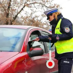 Policjantka kontroluje dokumenty kierowcy. Warto mieć przy sobie dowód rejestracyjny, by uniknąć problemów.