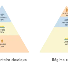 Comparaison des pyramides alimentaires : classique (55% glucides) vs cétogène (80% lipides, 5% glucides). Un régime sans sucre est plus proche du cétogène.