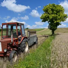 Jak zaliczyć pracę w gospodarstwie do stażu? Krok po kroku