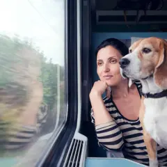 Une femme et son chien beagle regardent par la fenêtre d'un train. La question "peut on prendre le train avec un chien" se pose, et cette image montre que c'est possible.