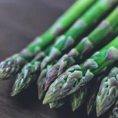 Pęczek świeżych, zielonych szparagów ułożony na ciemnym tle. Dowiedz się, jak przechowywać szparagi, by zachowały świeżość.