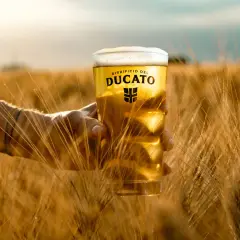 Un bicchiere di birra bionda del Birrificio del Ducato, tra spighe dorate. Un assaggio dei diversi tipi di birra, con la luce del tramonto.