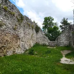 Ruiny zamku Bydlin porośnięte trawą, z kamiennymi murami i drzewami w tle.