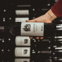 Mano che tiene una bottiglia di vino rosso, etichetta "Alferno Montecucco Rosso", un vino che ricorda il cabernet.