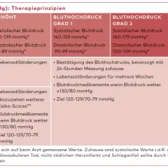Tabelle zeigt Therapieprinzipien bei Bluthochdruck. Lebensstiländerungen, wie z.B. durch Salbei, können den Blutdruck senken.