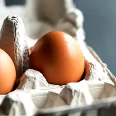 Deux œufs bruns dans un carton, prêts à congeler pour une utilisation future.