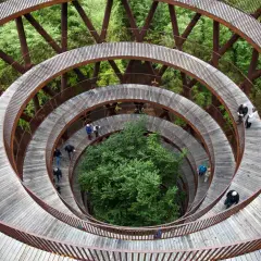 Une promenade en spirale en bois dans une forêt, une idée de que faire au Danemark pour admirer la nature d'en haut.