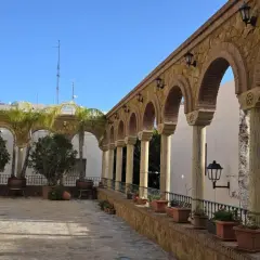 Un patio con arcos de piedra y columnas, palmeras y plantas en macetas. Un lugar encantador que ver en Vera, con un cielo azul despejado.