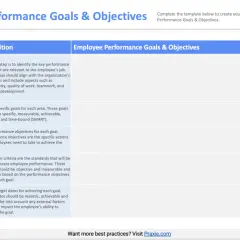 Table outlining employee performance goals & objectives, including focus areas like "Identify Key Performance Areas" and "Define Specific Goals," offering examples of performance objectives.