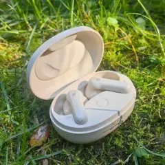Soundcore P2 Mini Test: Kompakte weiße Ohrhörer in ihrer Ladeschale, umgeben von grünem Gras und Morgentau.