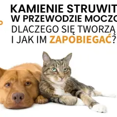 Pies i kot obok tubki karmy Uro-Pet. Temat: kamienie w pęcherzu u zwierząt i jak im zapobiegać.