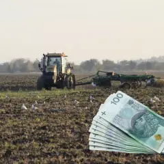 Młody rolnik pracuje na polu, za nim widać pług i stos banknotów 100 zł. Ptaki krążą nad ziemią.