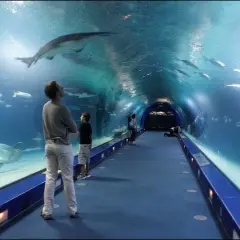 Oceanarium Kołobrzeg - atrakcje, ceny biletów i godziny otwarcia