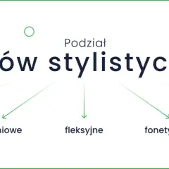 Podział środków stylistycznych: wyrazowe, składniowe, fleksyjne, fonetyczne, w ujęciu retoryki. Barokowe środki stylistyczne to bogactwo form.