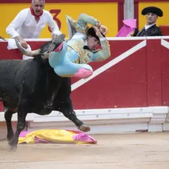 Un torero, Rubén Pinar, es lanzado por los aires por un toro negro en una plaza de toros.