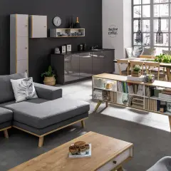 Nowoczesny salon z szarą kanapą i ciemną ścianą. Inspiracje na kolory ścian do salonu: grafit, biel, drewno.