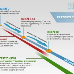 Wykres pokazuje przebieg choroby COVID-19: od zakażenia (dzień 0), przez okres bezobjawowy, pojawienie się objawów (dzień 2-14), do wykrycia przeciwciał (dzień 10).