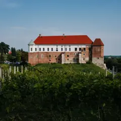 Co zjeść w Sandomierzu? Najlepsze potrawy i miejsca do spróbowania