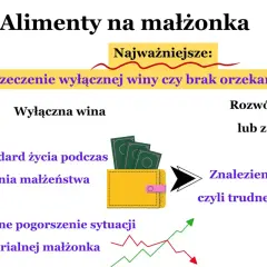 Alimenty a dochody nowej żony: kluczowe jest orzeczenie o winie, standard życia i pogorszenie sytuacji materialnej.