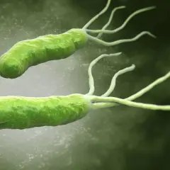 H. pylori w ustach? Sprawdź 7 objawów, które musisz znać!